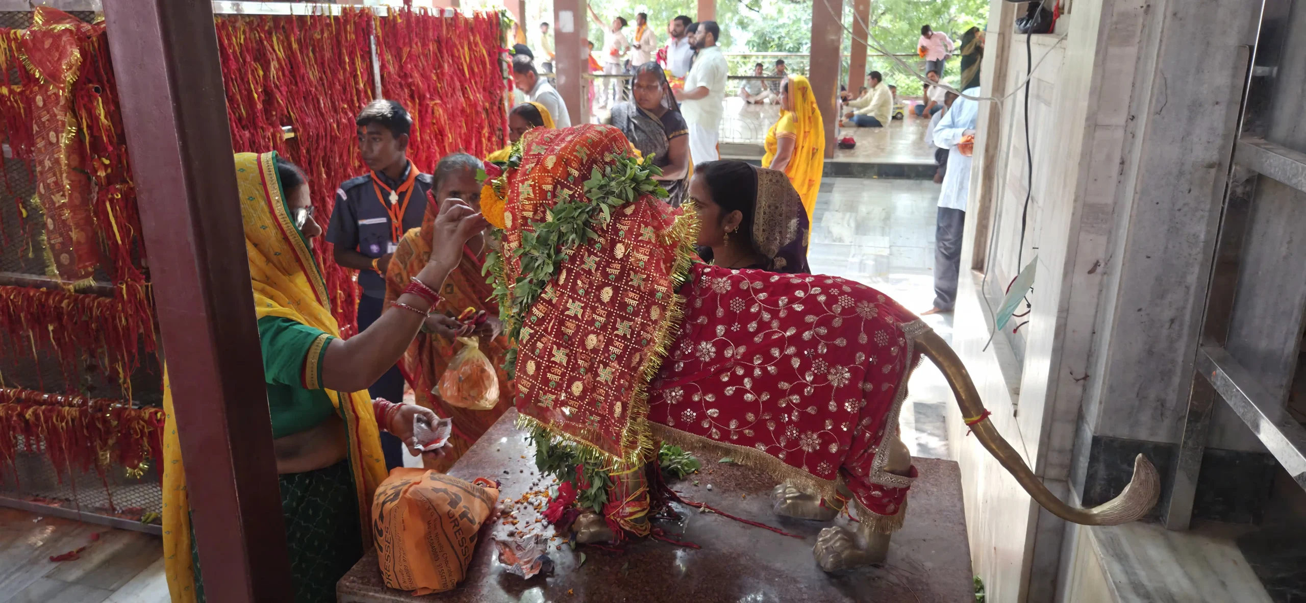 मां कामाख्‍या धाम में शरदीय नवरात्रि का सप्‍तमी दर्शन हेतु भीड