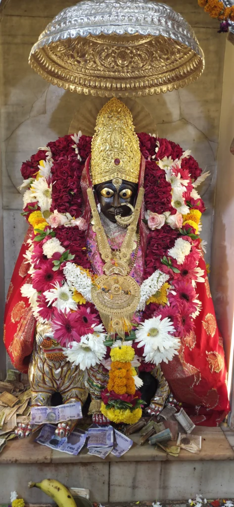 माँ कामाख्या देवी गहमर की फूलों और स्वर्ण आभूषणों से सजी पवित्र प्रतिमा के दिव्य दर्शन।