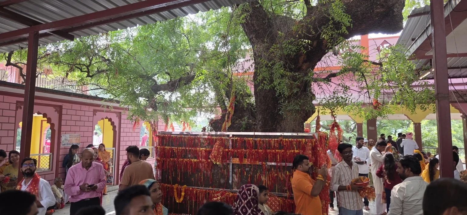 माँ कामाख्या धाम गहमर परिसर में स्थित विशाल और प्राचीन वटवृक्ष जिस पर लाल धागे बंधे हैं।
