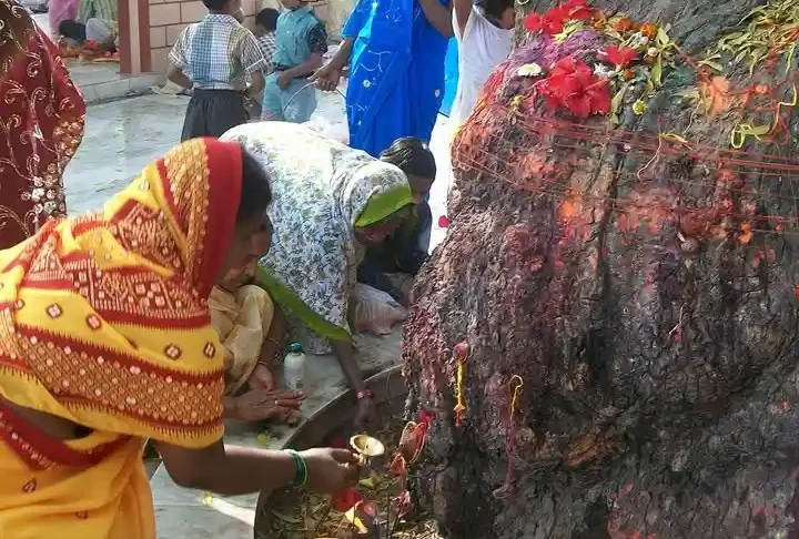 माँ कामाख्या धाम परिसर में स्थित पुराने पवित्र वृक्ष की पूजा करती महिलाएं